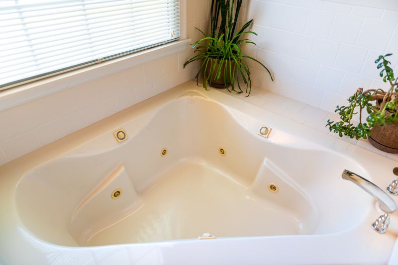 Elegant Tub Area